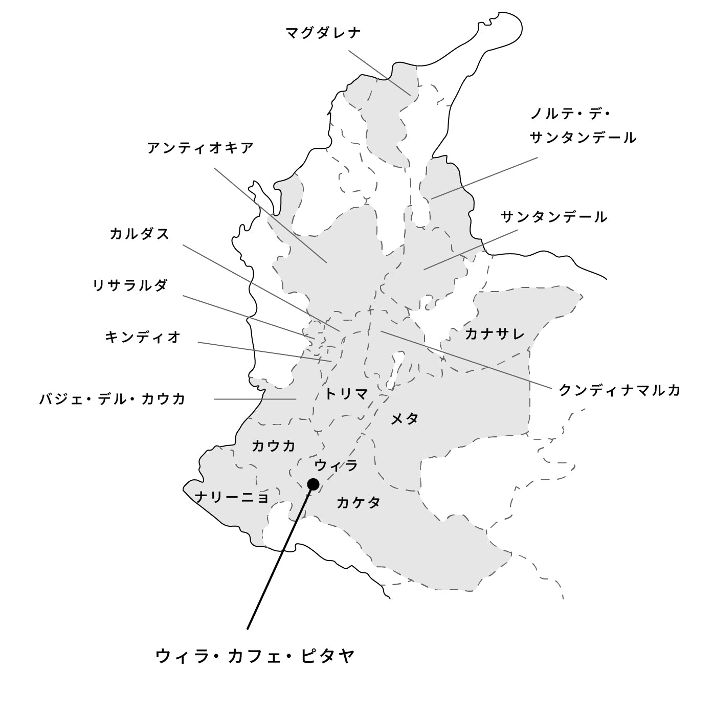 生豆 - コロンビア・ウイラ・カフェ・ピタヤ