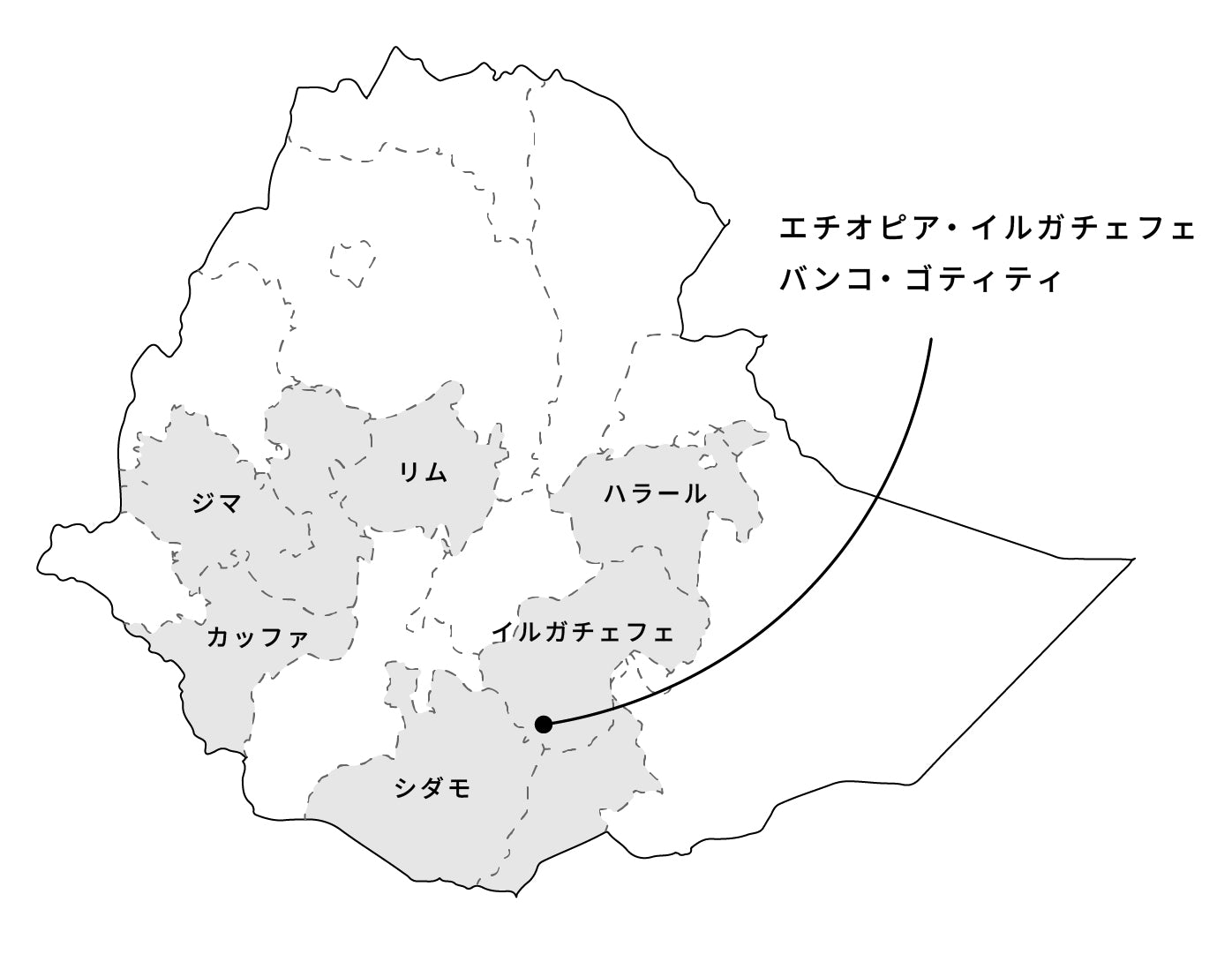 生豆 - エチオピア・イルガチェフェ・バンコ・ゴティティ