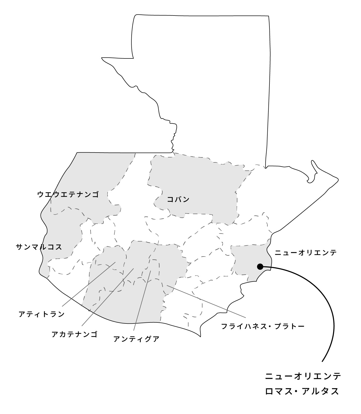 生豆 - グアテマラ・ニューオリエンテ・ロマス・アルタス